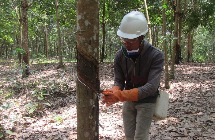 Importação de borracha natural acumula US$ 1,8 bilhões em 2024 e expectativas para os próximos meses são positivas, segundo a consultoria Vixtra